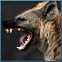 Uživatelský avatar